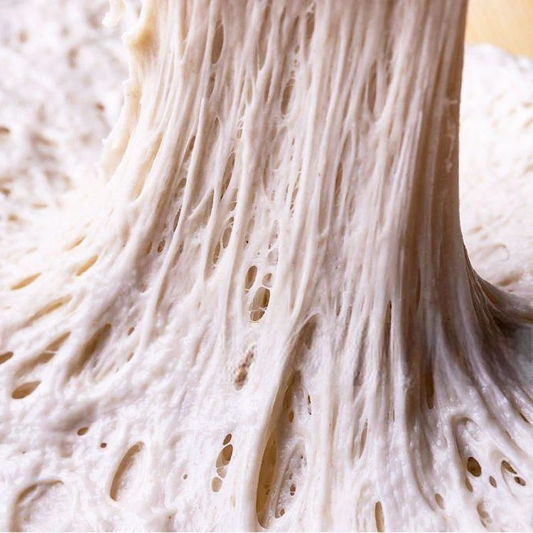 s 500 dough conditioner s 500 dough conditioner