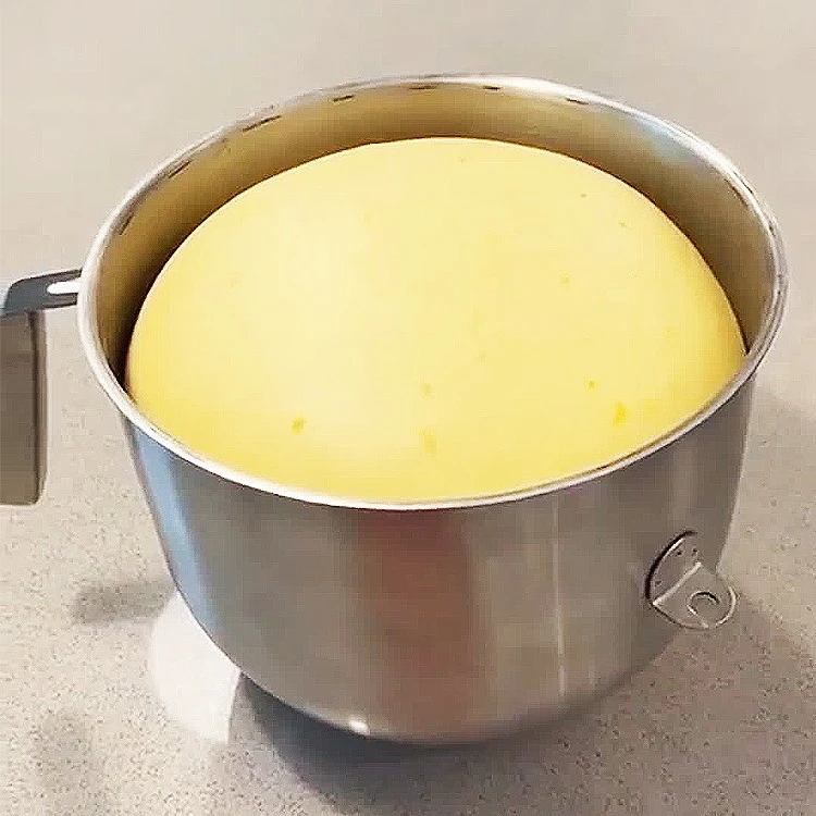 yeast for high sugar dough yeast for high sugar dough